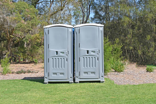 Best Portable Toilets with Baby Changing Stations in The Pinery, CO